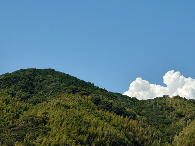 東京圏の人だけじゃない？対象地域広がる「移住支援金制度」